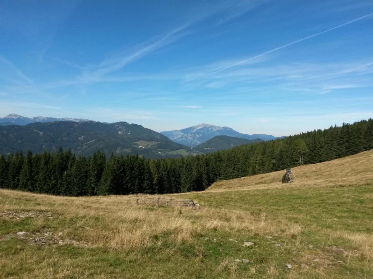 Hubertushof Hotell Trattenbach  Exteriör bild